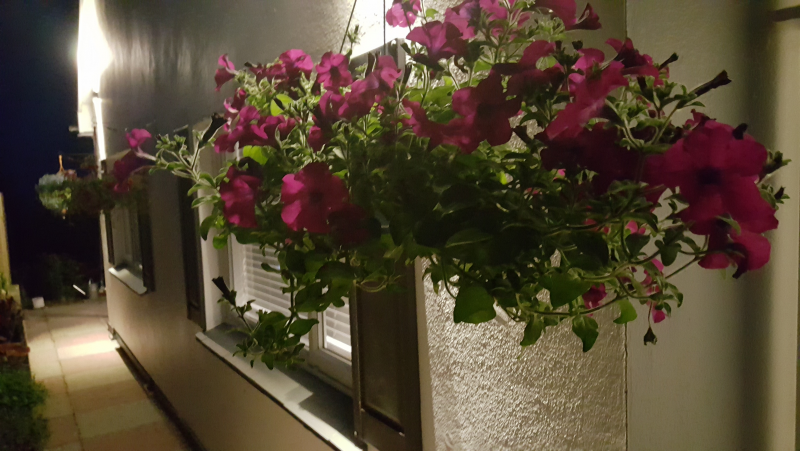 Marthys House - outside view